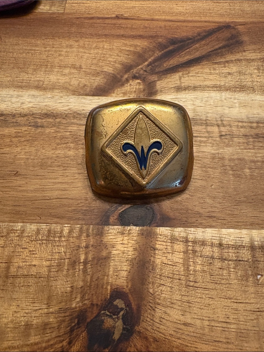 Vintage Boy Scouts of America neckerchief slide.
